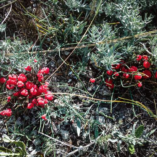 Photo #7311429