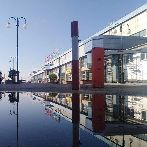 Photo #7311461