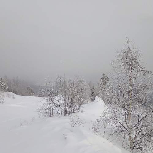 Photo #7311552