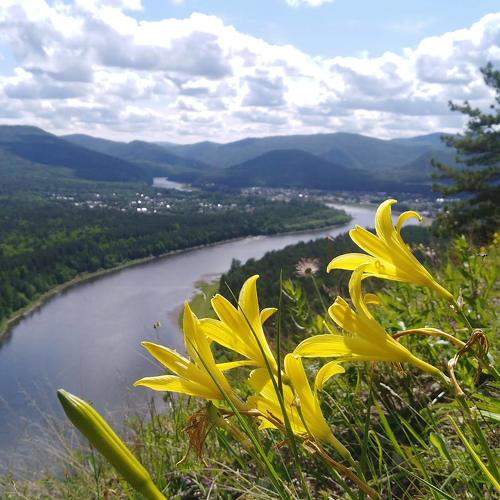 Photo #7311610