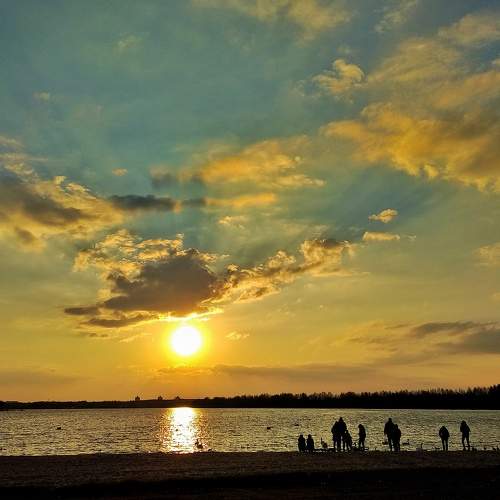 Photo #7311685
