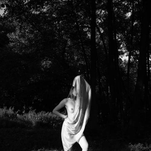 Photo #7311863