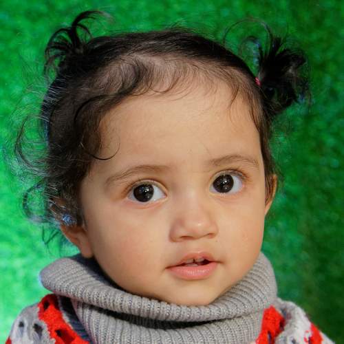 Photo #7312093