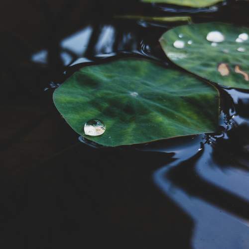 Photo #7312322