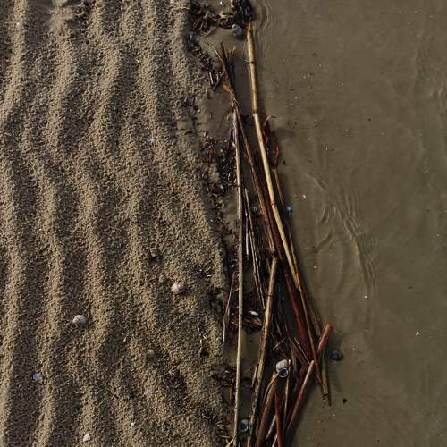 Photo #7312593