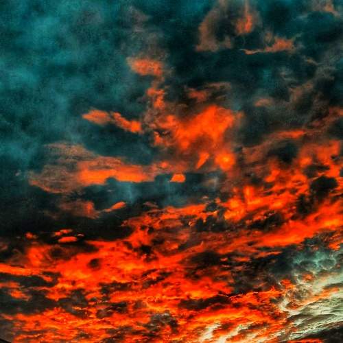 Photo #7312629