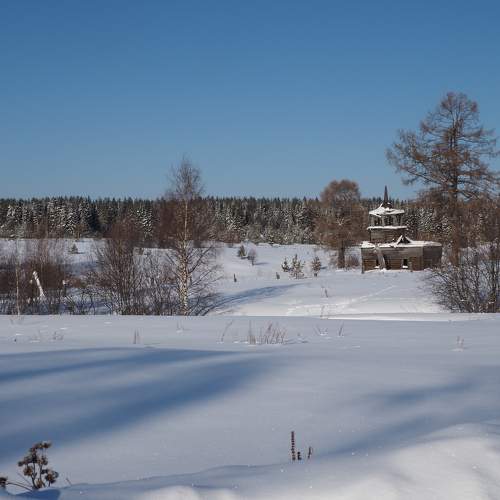 Photo #7312832