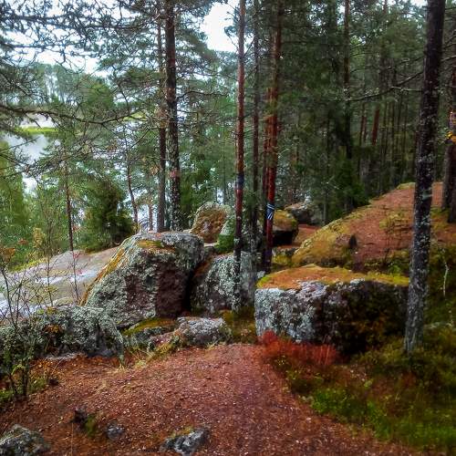 Photo #7312923