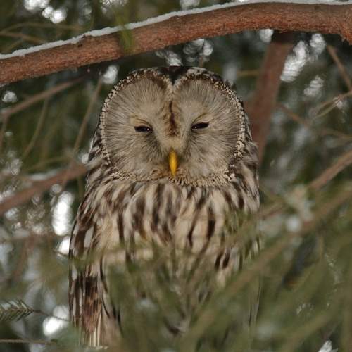 Photo #7313239
