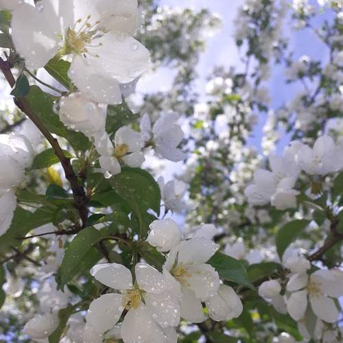 Photo #7313416