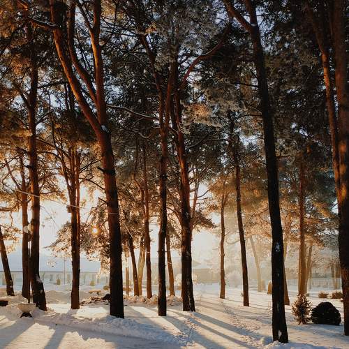 Photo #7313429
