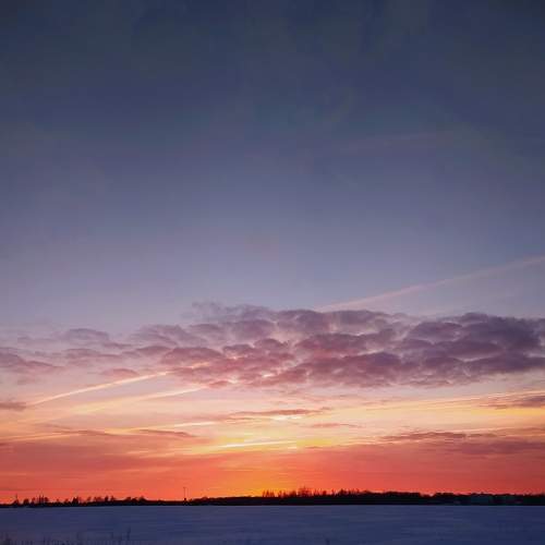 Photo #7313769