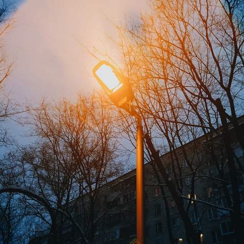 Photo #7313770