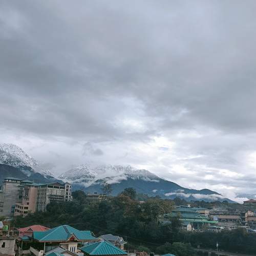 Photo #7314231