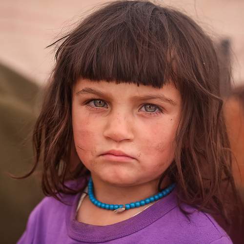 Photo #7314302