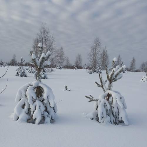 Photo #7314373
