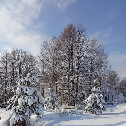Photo #7314501