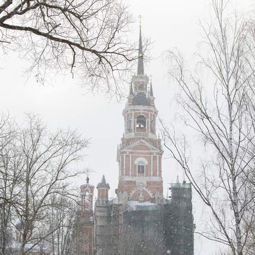 Photo #7314616