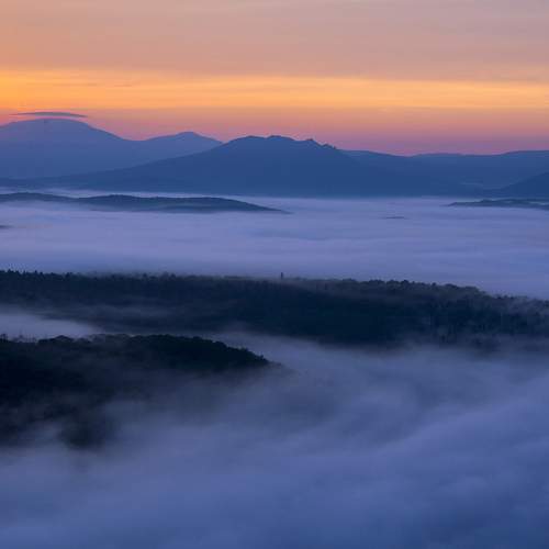 Photo #7314838