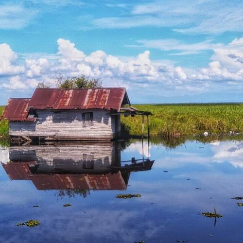 Photo #7314922