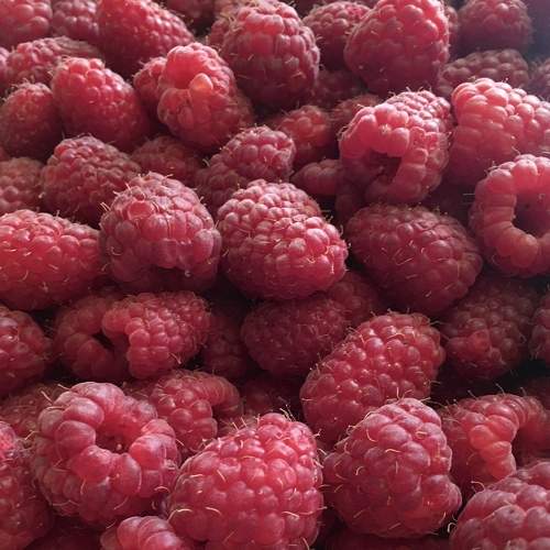 Photo #7315051