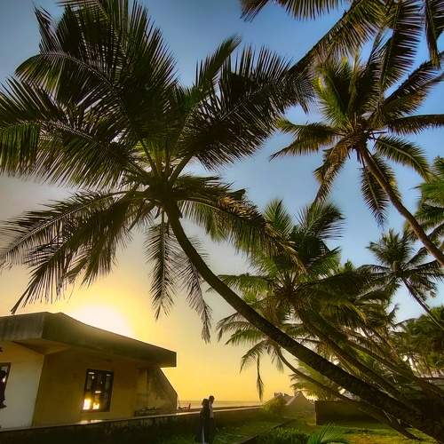 Photo #7315062