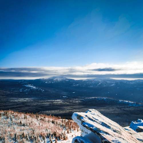Photo #7315230