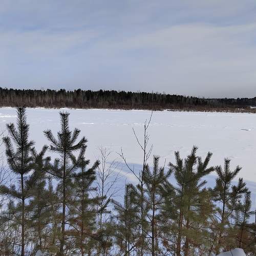 Photo #7315544