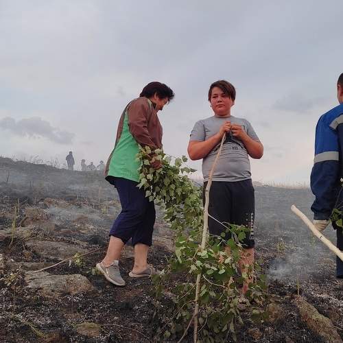 Photo #7315809