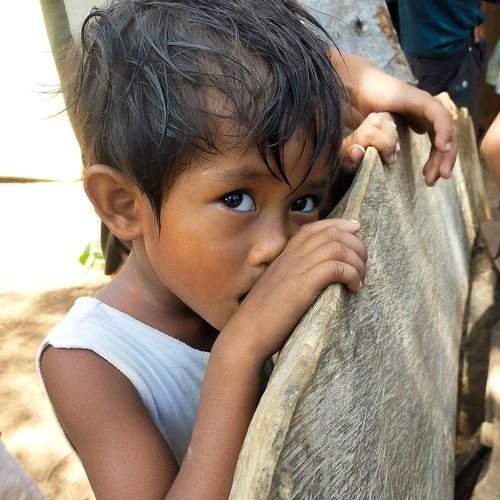 Photo #7315911
