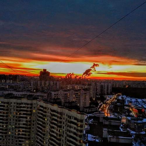 Photo #7315929