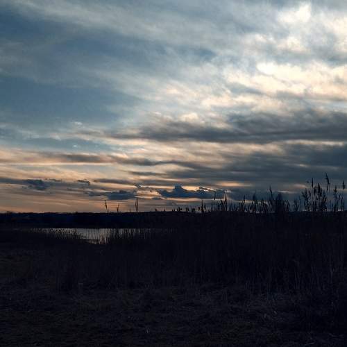 Photo #7315934