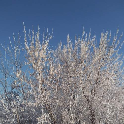 Photo #7315999