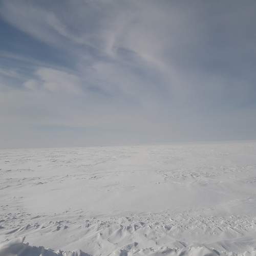 Photo #7316044