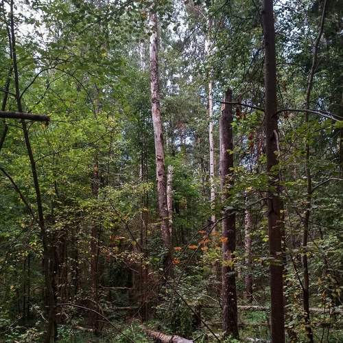 Photo #7316069