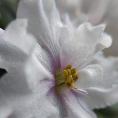 Photo #7316137
