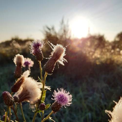 Photo #7316259