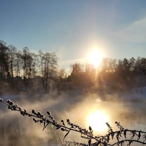 Photo #7316296