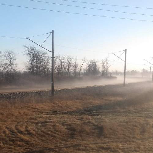 Photo #7316821