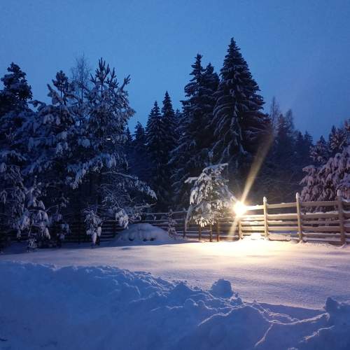Photo #7316917