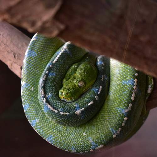Photo #7317029