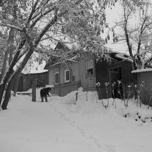 Photo #7317030