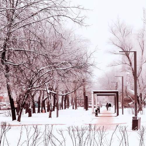 Московский дворик
