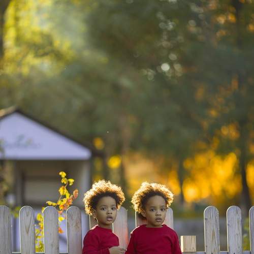 Photo #7317538