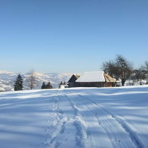 Photo #7317657