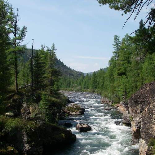 Photo #7317727