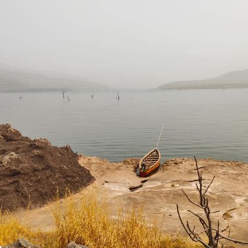 Photo #7317843