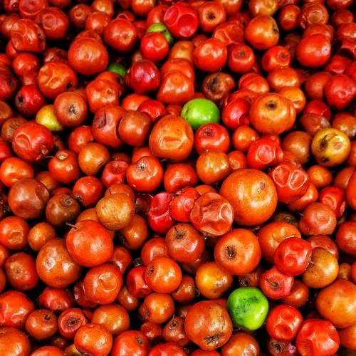Photo #7317909