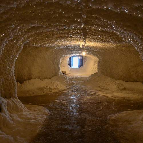 Photo #7318104