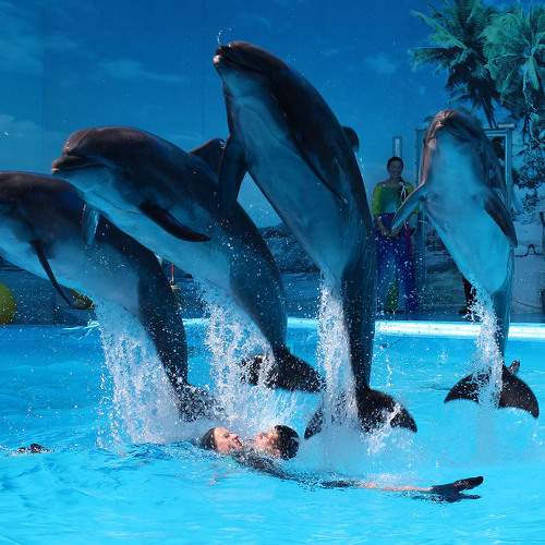 Photo #7318144